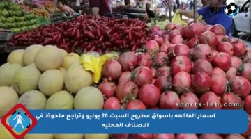أسعار الفاكهة بأسواق مطروح السبت 26 يوليو وتراجع ملحوظ في الأصناف المحلية